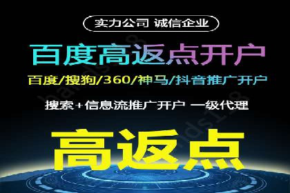 行业领先的SEM投放效果案例解析